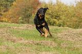 BEAUCERON 502